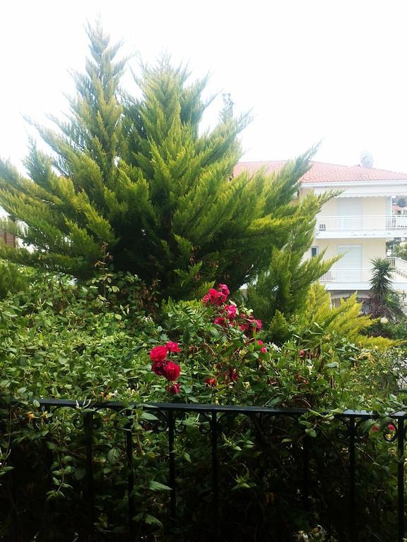 Charming Maisonette Polychrono Exterior foto